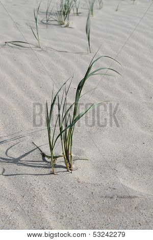 empty beach