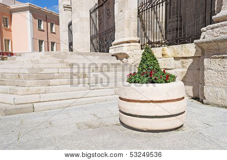 Flower Bed