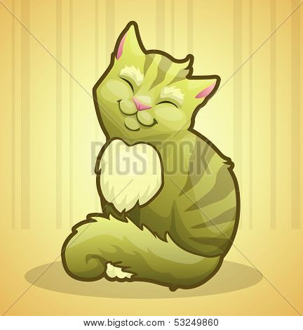 Cat