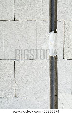 Electric Cable Portrait