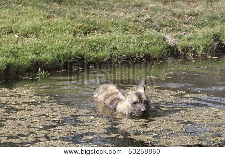 Cooling Off