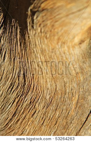 Contour Textured Background - Hardwood from Mother Nature's artistic side