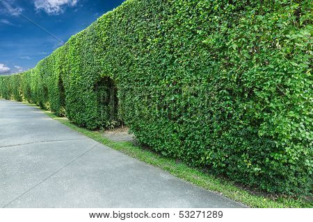 green fence with cement walkways