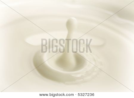 Milk