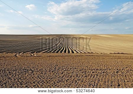 Plowed Field