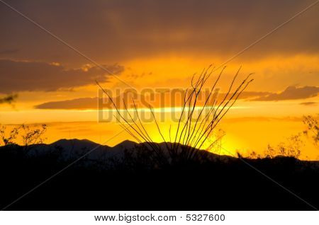 Tramonto In Arizona