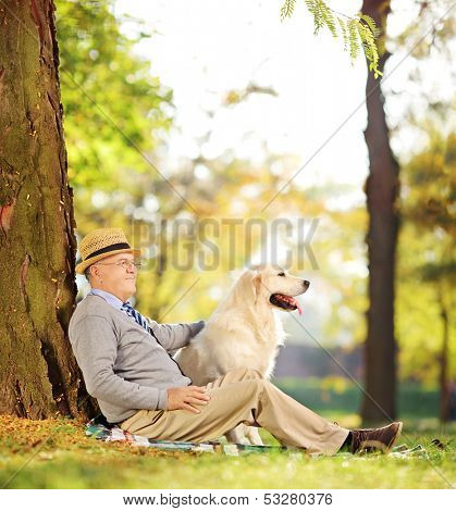 Senior gentleman and his Labrador retriever dog sitting on ground in a park, shot with a tilt and shift lens