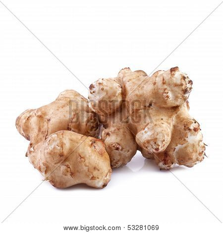 sunroot or jerusalem artichoke