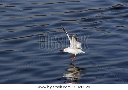 Splashdown