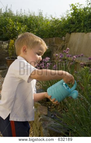 Junge Bewässerung Garten.