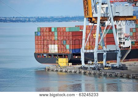 Cargo crane and ship