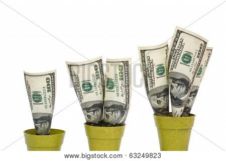Usd Rising On White With Clipping Path