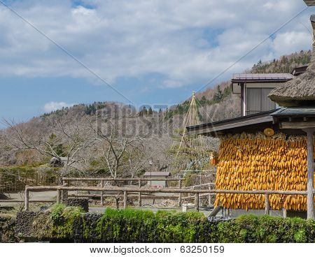 Oshino Hakkai Village, Japan