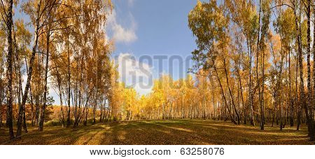 Indian Summer