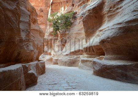 Jordania, Petra, Gorge