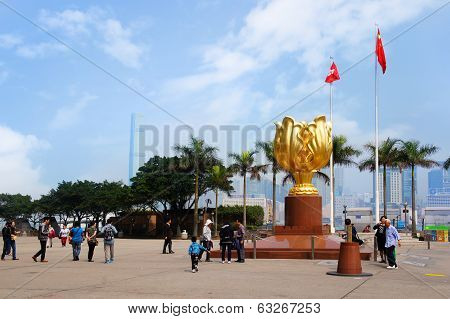 Golden Bauhinia Square