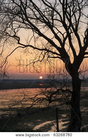 Sunrise in early spring in the Biebrza National Park, Poland, Podlasie