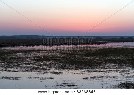 Before sunrise in early spring in the Biebrza National Park, Poland, Podlasie