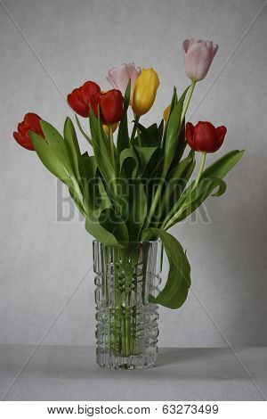 Fresh Tulips in a Vase