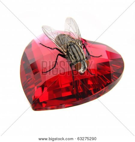 Fly On  Red Gemstone