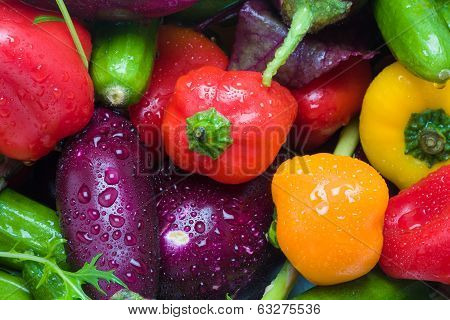 Color Vegitables Background