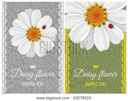 Romantic floral background with vintage flowers of daisies