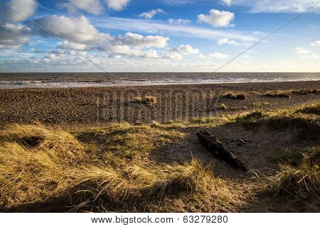 Blue Sky Summer Beach Sunset Landscape