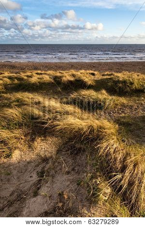 Blue Sky Summer Beach Sunset Landscape