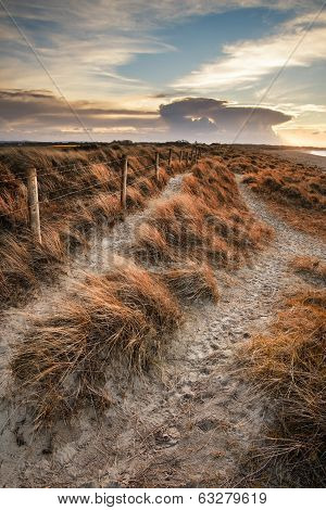 Blue Sky Late Summer Beach Sunset Landscape