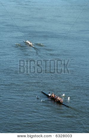 Šéf Hoochová veslování Regatta