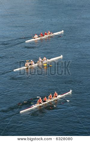 Šéf Hoochová veslování Regatta