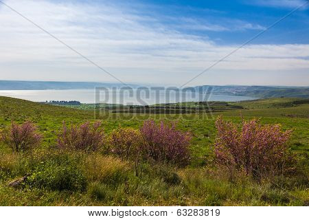 Landscape Of The Beautiful Green Valley On The North