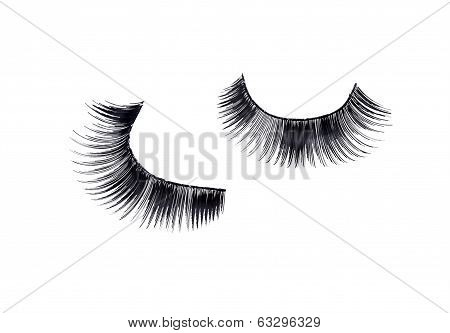 pair of fake false eyelash isolated on white