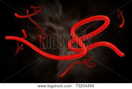 Ebola virus disease virions magnified by a microscope