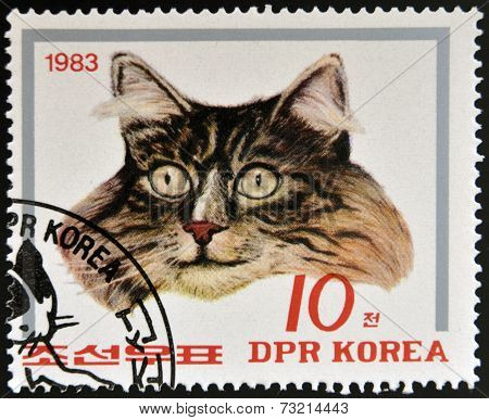NORTH KOREA - CIRCA 1983: A Stamp printed in North Korea shows image of a Cat circa 1983