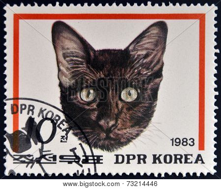 DPR KOREA - CIRCA 1983: A stamp printed in North Korea shows Havana Brown Cat circa 1983