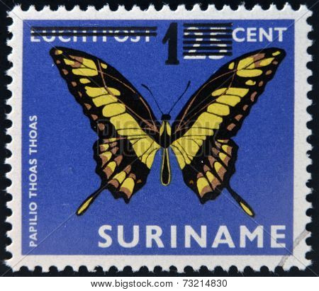 SURINAME - CIRCA 1980: A stamp printed in Surinam shows a butterfly papilio thoas thoas circa 1980