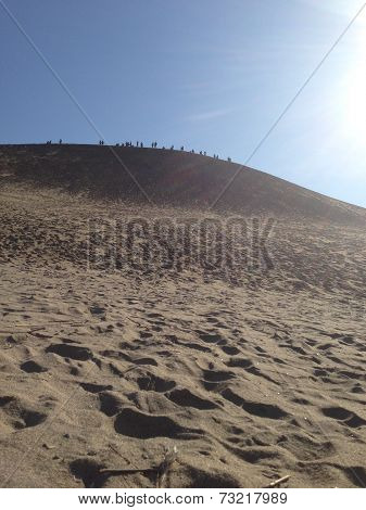 Walking through the Desert