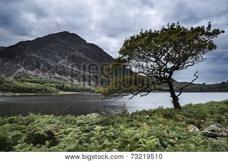 Landscape Image Of Mountain Reflected In Still Lake On Summer Morning