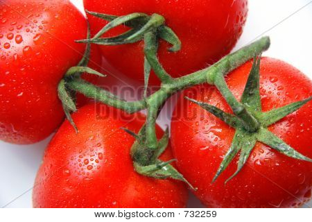 tomatoes