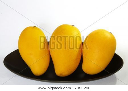 mangue
