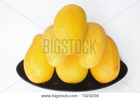 mangue