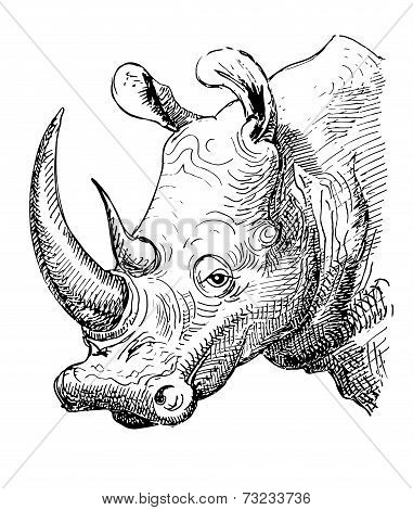 artwork rhinoceros, sketch black and white drawing