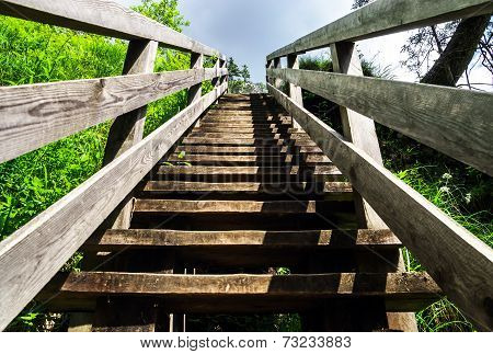 Natural Wooden Stairway To Heaven
