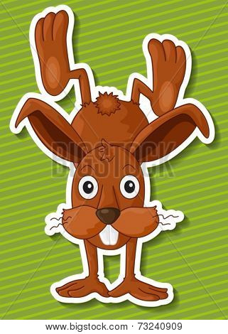 Illustration of a close up rabbit