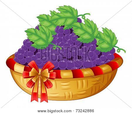 Illustration of a basket of grapes on a white background