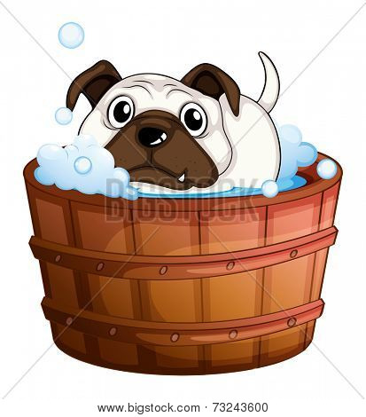 Illustration of a bulldog inside the bathtub on a white background
