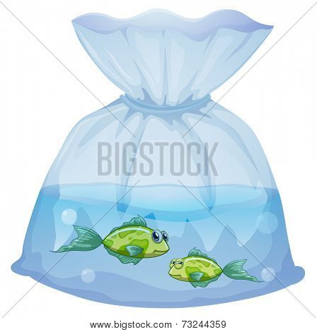 Illustration of the green fishes inside the plastic pouch on a white background