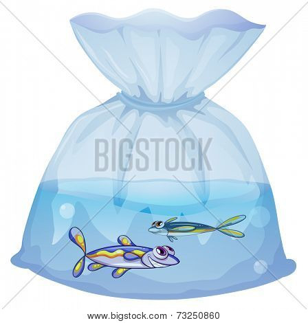 Illustration of a plastic pouch with two fishes on a white background