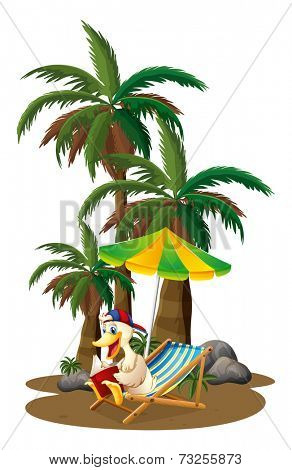 Illustration of a duck reading near the palm trees on a white background